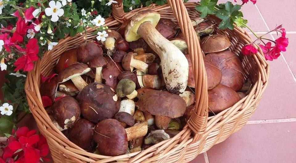 Agroturystyka Rebowo Klodawa  エクステリア 写真