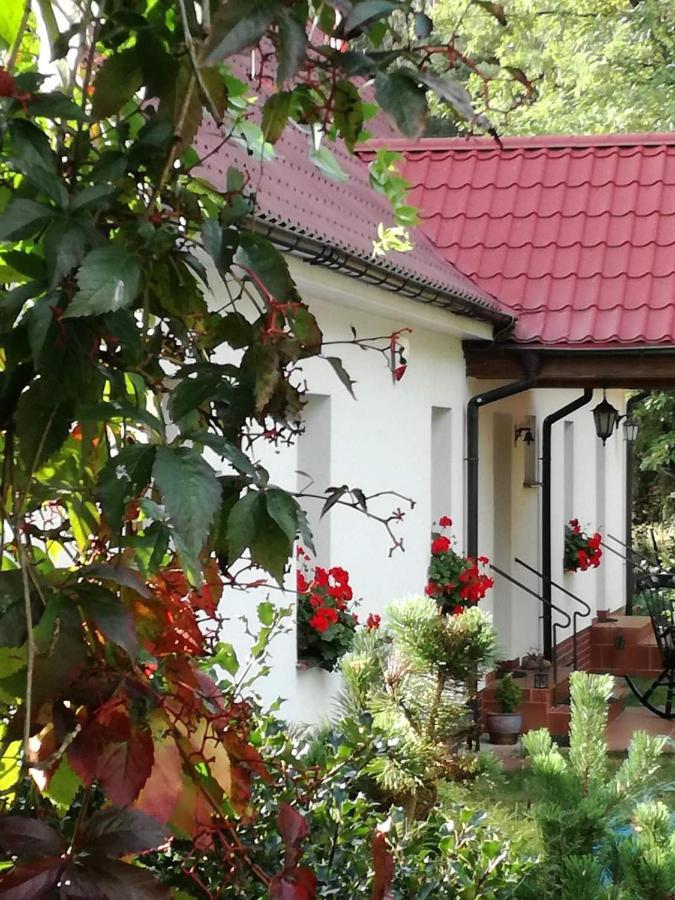 Agroturystyka Rebowo Klodawa  エクステリア 写真