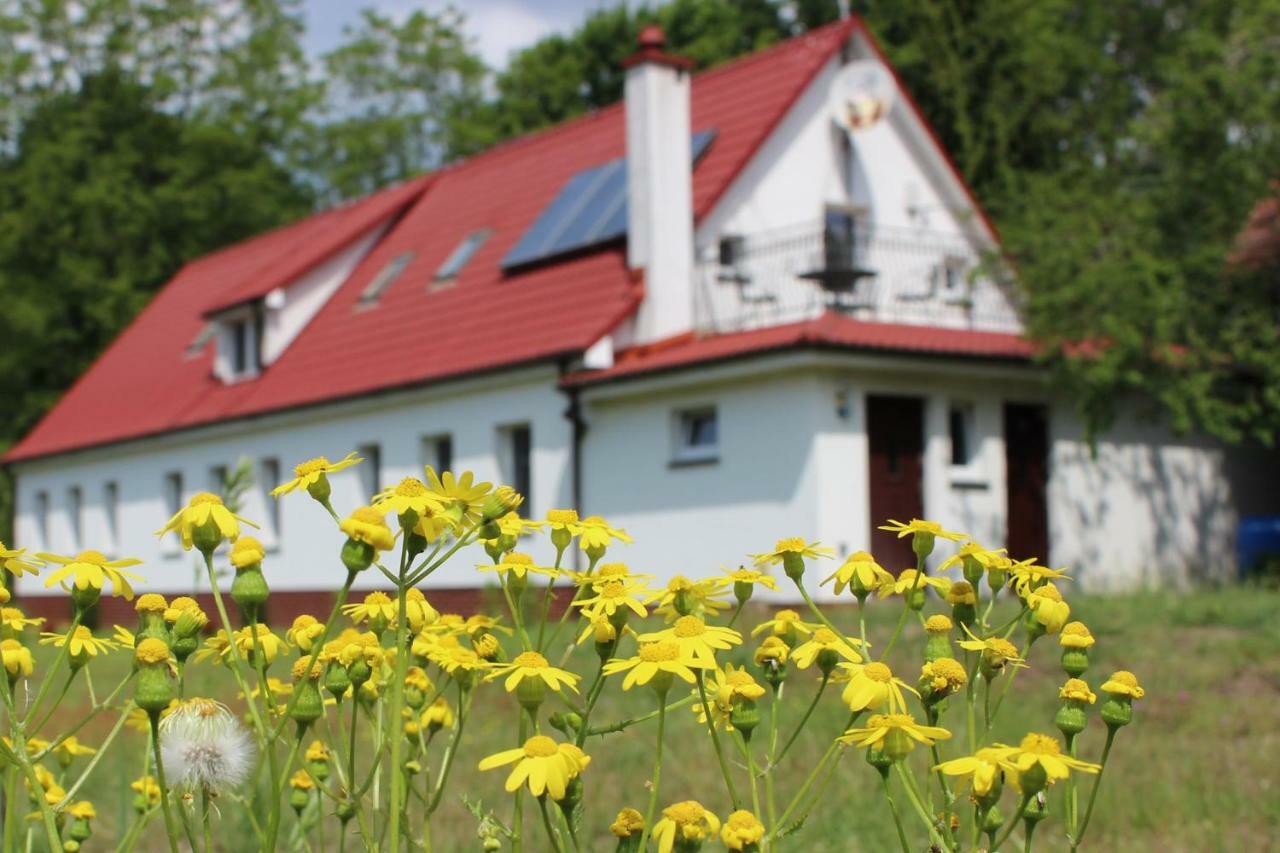 Agroturystyka Rebowo Klodawa  エクステリア 写真